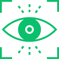 Vision